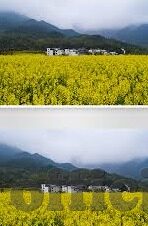 2021国产麻豆剧传媒-2021国产麻豆剧的多元化探索与文化认同