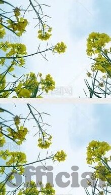 91麻豆网站免费-拨开迷雾，91麻豆的误入与安全上网指南