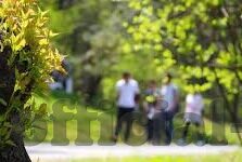 91永久发地布地扯麻豆-互联网的另一面，揭示91地点的非理性热潮与其背后的社会反思