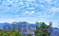 大象传媒黄app免费-大象传媒黄app免费，网络世界的灰色地带与信息甄别