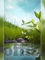 juy717佐山爱暴风雨中文字幕-风雨中的爱，佐山下的深情故事