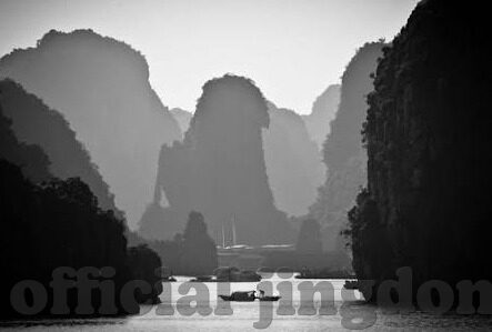 麻豆911视频-麻豆911视频，网络时代的版权与道德边界