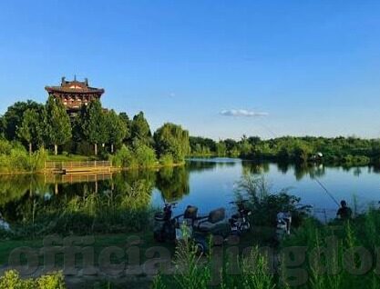 麻豆全部视频-麻豆，镜头下的多彩生活多角度探索