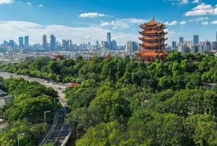 糖心app激活码领取-甜蜜解锁，尽在掌握——关于糖心APP激活码的优雅探索